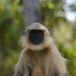 16. Purna Wildlife Sanctuary
