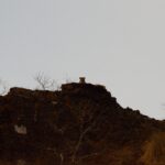 DSC_0419 (2)