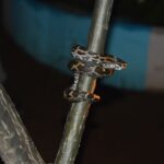 DSC_1029