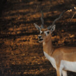 DSC_1970_ 8X12