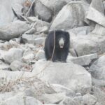 IMG-20180227-WA0019