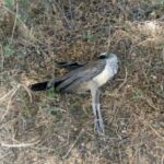 IMG_20180205_175713