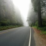 foggy way