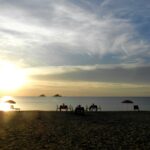 sunset-2700943_960_720