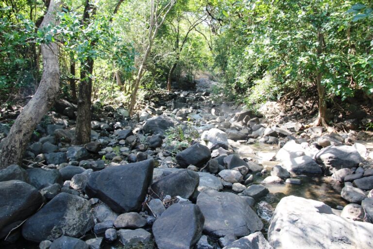 તુલશીશ્યામ: રહસ્યમય અને અલૌકિક ધાર્મિક સ્થાન