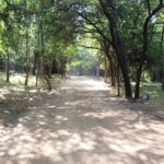 IMG-20180313-WA0002
