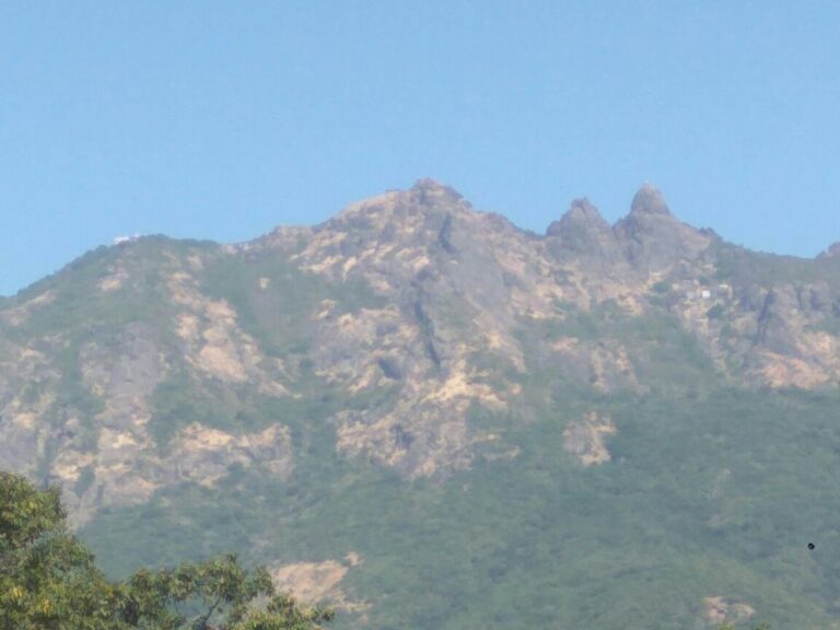 ચાલો ગીરનારની ગોદમાં જઈએ..