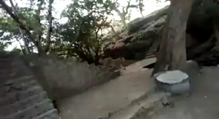 ગીર : મહાદેવના મંદિરમાં સિંહણના આટાફેરા