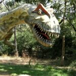 Allosaurus