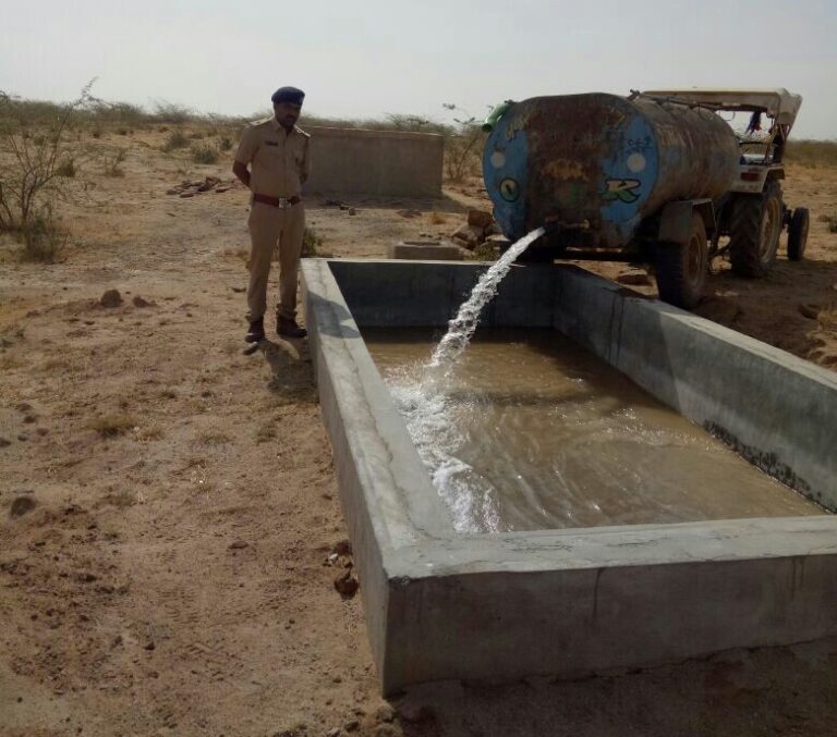 કચ્છમાં વન્યપ્રાણીઓ માટે દૈનિક એક લાખ લિટર પાણીની વ્યવસ્થા કરતું વનવિભાગ