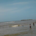 Photo0241