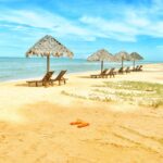 beach-beach-chairs-beach-hut-531035