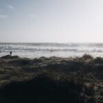 beach-grass-horizon-1028889