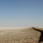 medium_white-rann-kutch-gujarat