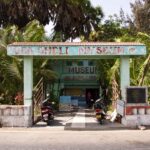 sea shell museum