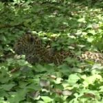 IMG_20180521_190111