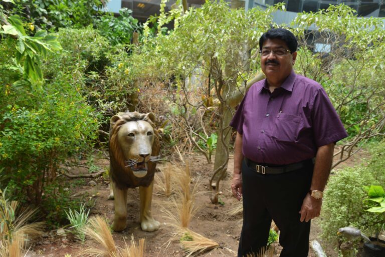 Prevent Unnatural Deaths of Gir Lions: Parimal Nathwani
