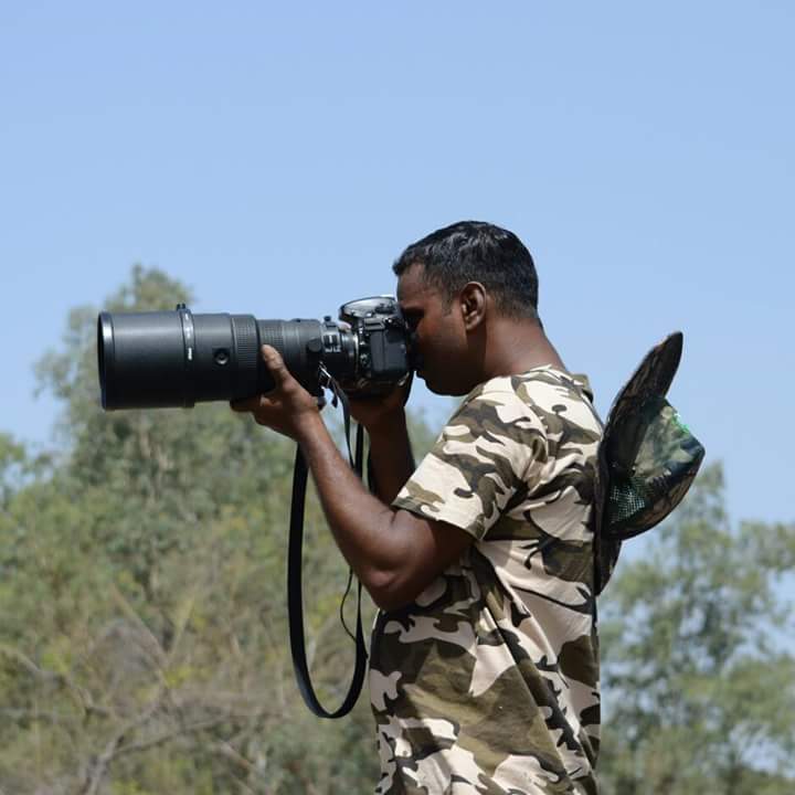 મગર અને સાપ જેવા પ્રાણીઓનો જીવ બચાવવા માટે જીવતા રાકેશ વઢવાણાની ચીરવીદાય