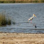 IMG_20180905_234428