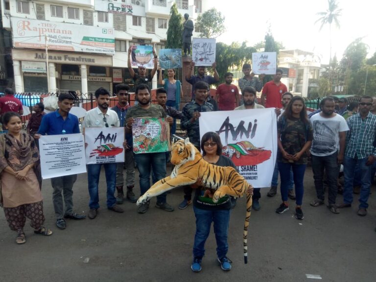 “નેશનલ શેમ” વાઘણ અવનીને શુટ આઉટ કરવાના મામલે વડોદરામાં વિરોધ પ્રદર્શન