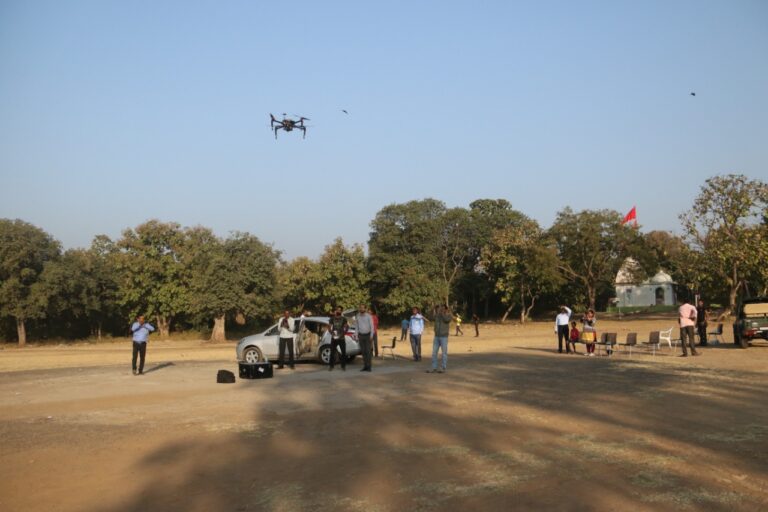 સાસણ ગીર: જંગલમાં એશિયાટીક લાયન પર હવે ડ્રોન કેમેરા રાખશે બાજ નજર