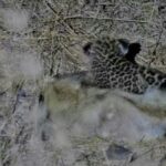 IMG_20190104_234343