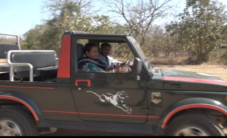 નારી ના કીસી સે હારી: સાસણ ગીરના જંગલમાં હવે જીપ્સી ચલાવી મહિલા ડ્રાયવર કરાવશે સિંહ દર્શન