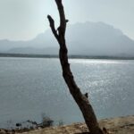 IMG-20190318-WA0012