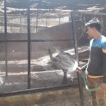 IMG-20190502-WA0008
