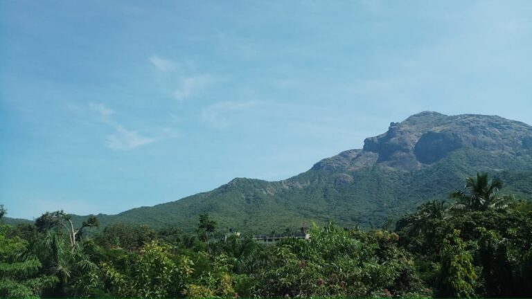 જૂનાગઢ બની રહયુ છે ટુરિઝમ હબ: વેકેશન ગાળવા માટેનું ઉત્તમ સ્થળ