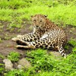 IMG_20200131_143838