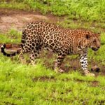 IMG_20200131_143852