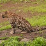 IMG_20200131_143913