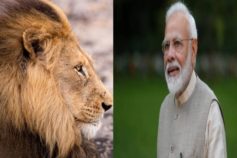 ભારત વિશ્વભરનાં પ્રવાસી પક્ષીઓના લગભગ 500 પ્રજાતિઓનું ઘર છે: PM મોદી