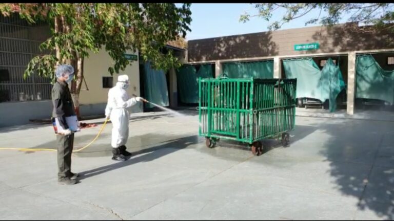 કોરોનાથી વન્યજીવોને ખતરો ? સેન્ટ્રલ ઝૂ ઓથોરિટી દ્વારા માર્ગદર્શિકા બહાર પાડી, જાણો વધુ