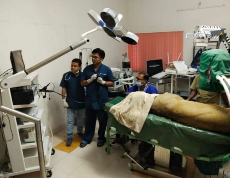 જૂનાગઢ: સક્કરબાગ ઝુમાં ઘાયલ સિંહણનું કરાયુ સફળ ઓપરેશન