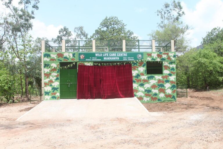 વન વિસ્તારના પ્રથમ વાઇલ્ડ એનિમલ કેર સેન્ટરનો ધાનપુર-ડુંગરવાંટ નજીક પ્રારંભ