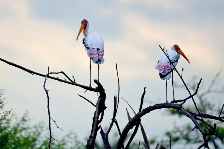 Explore your wild side: perfect places for nature lovers