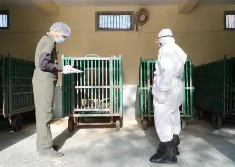 કોરોના કહેર: જંગલના રાજા પણ અસરગ્રસ્ત, તમામ રાષ્ટ્રિય ઉદ્યાનો અને સંગ્રહાલયો બંધ