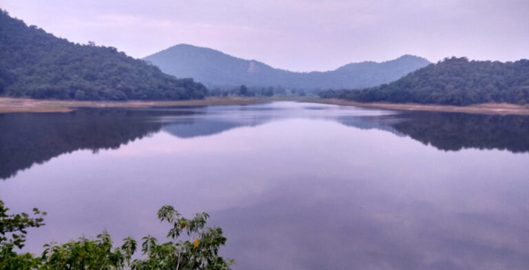 મધ્ય ગુજરાતની હરિયાળી શોભા અને પ્રકૃતિનું નજરાણું એટલે જાંબુઘોડાનું પાઘડીપને પથરાયેલું જંગલ