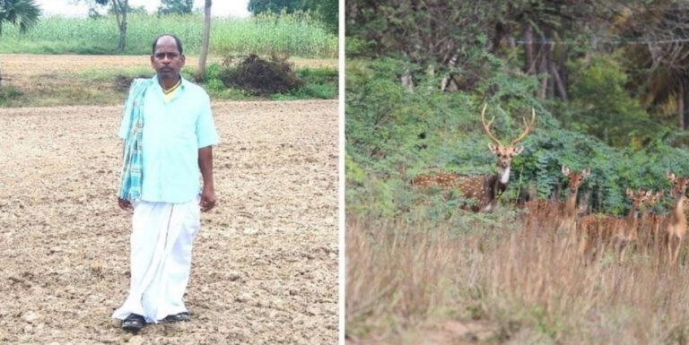 અનમોલ ભારતીયો: ‘હરણ’ બચાવવા માટે ખેડૂતે એવું કર્યુ કે, હરણની સંખ્યા 3 થી વધીને હજારોને પાર પહોંચી