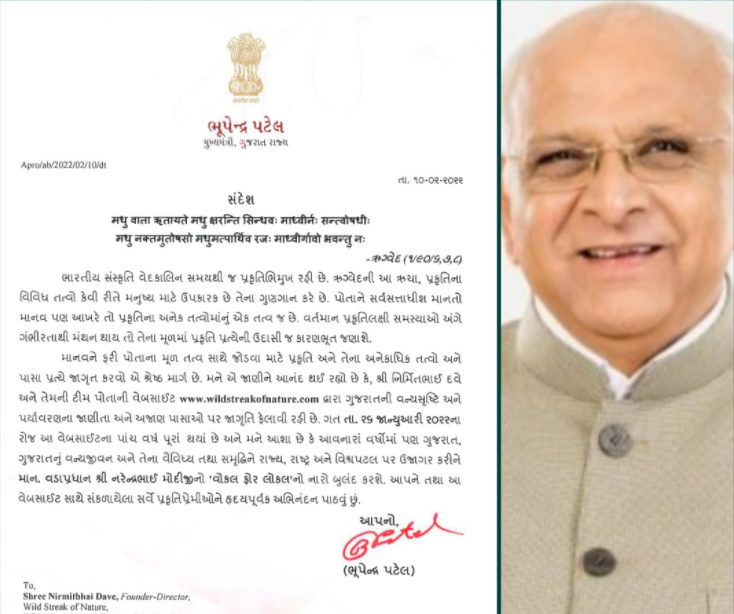 વાઈલ્ડ સ્ટ્રિક ઓફ નેચરના સુવર્ણ 5 વર્ષ: છ લાખથી વધુ લોકો વેબસાઈટની મૂલાકાત લઈ પ્રકૃતિ સાથે જોડાયા