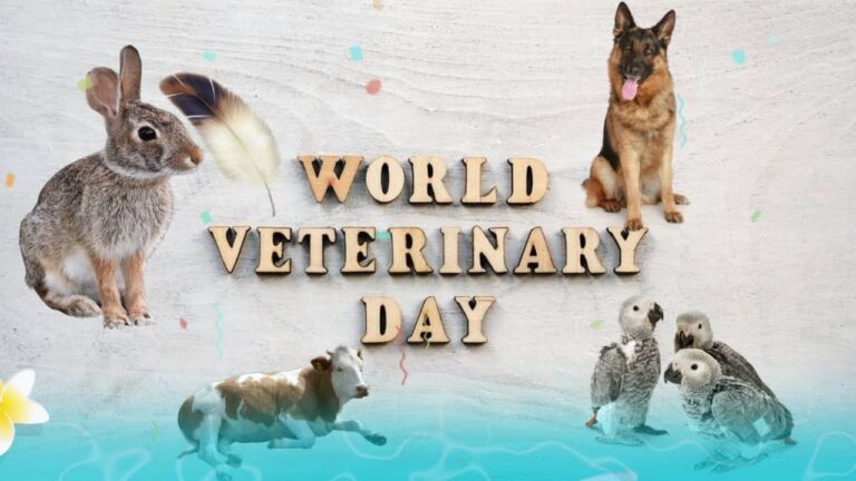 આ વર્ષે વિશ્વ વેટરનરી દિવસ – 2022 અંતર્ગત “Strengthening veterinary resilience” થીમ પસંદ કરાઈ