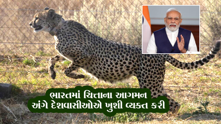 “દેશવાસીઓ હું તમને એક કામ સોંપી રહ્યો છું” ચિત્તાના આ અભિયાનનું નામ શું રાખવું જોઈએ? : PM