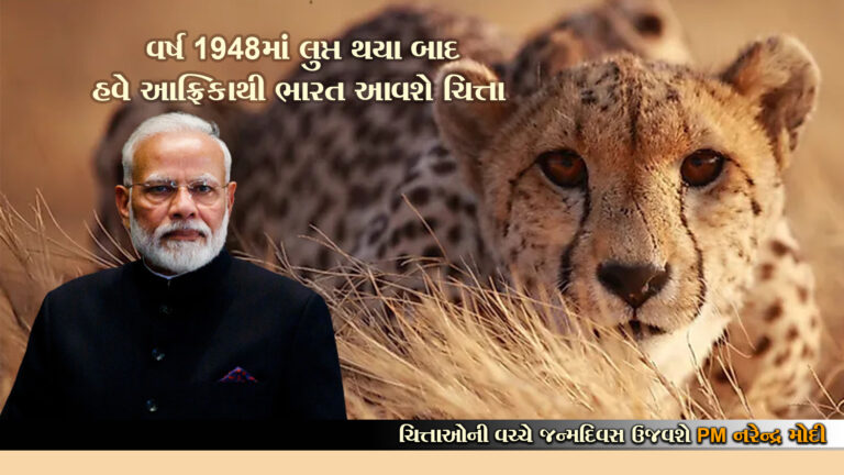 PM મોદીનો અનોખો અંદાજ: આ રીતે ઉજવશે 72મો જન્મદિવસ!