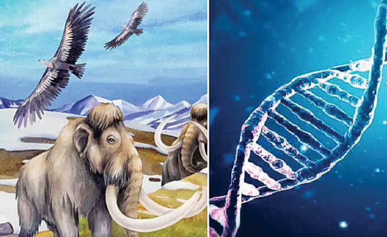જૂના DNA પરથી આશરે 20 લાખ વર્ષ પહેલાંના જીવનનો અંદાજ મળ્યો